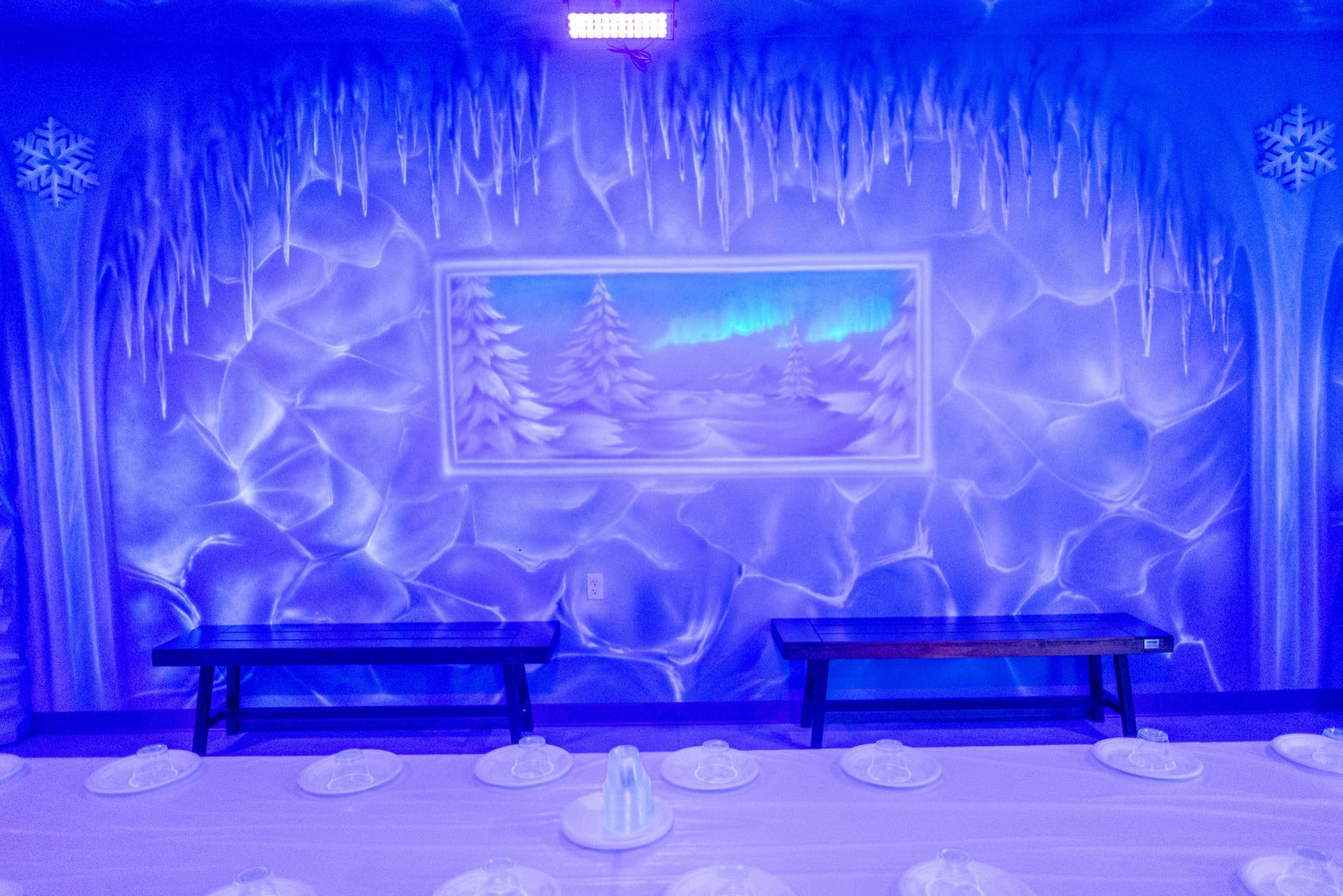 Ice party room, photo 4 of 6