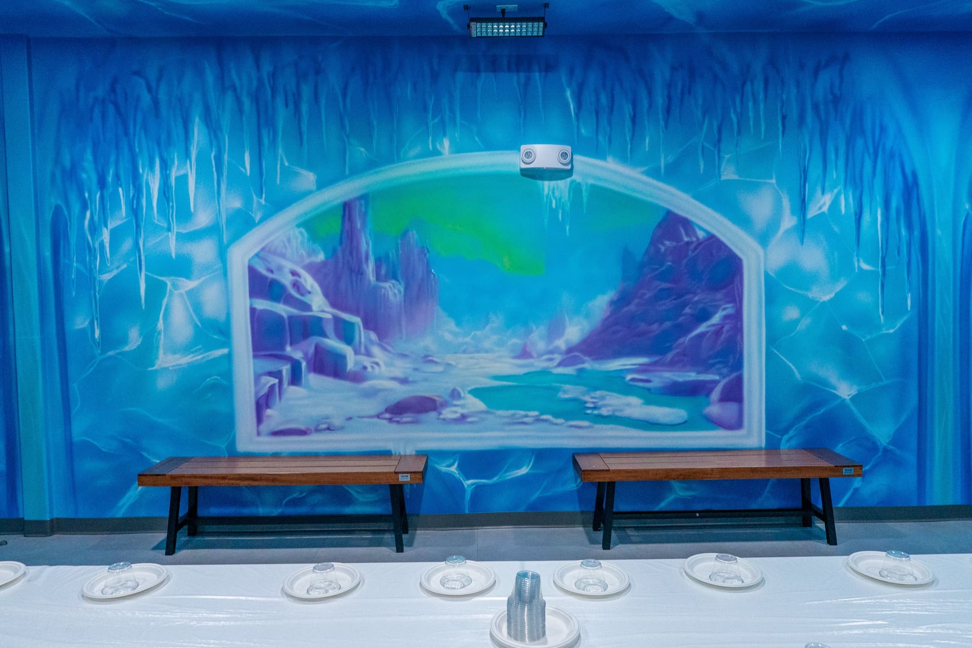 Ice party room, photo 5 of 6