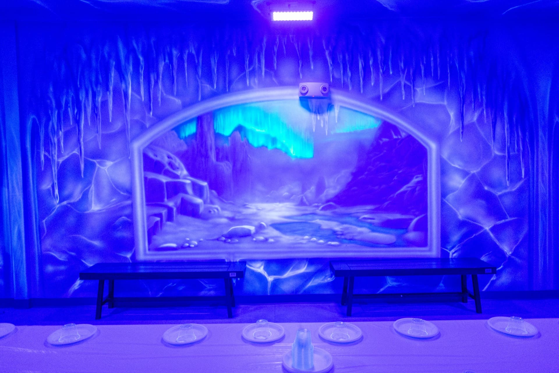 Ice party room, photo 6 of 6