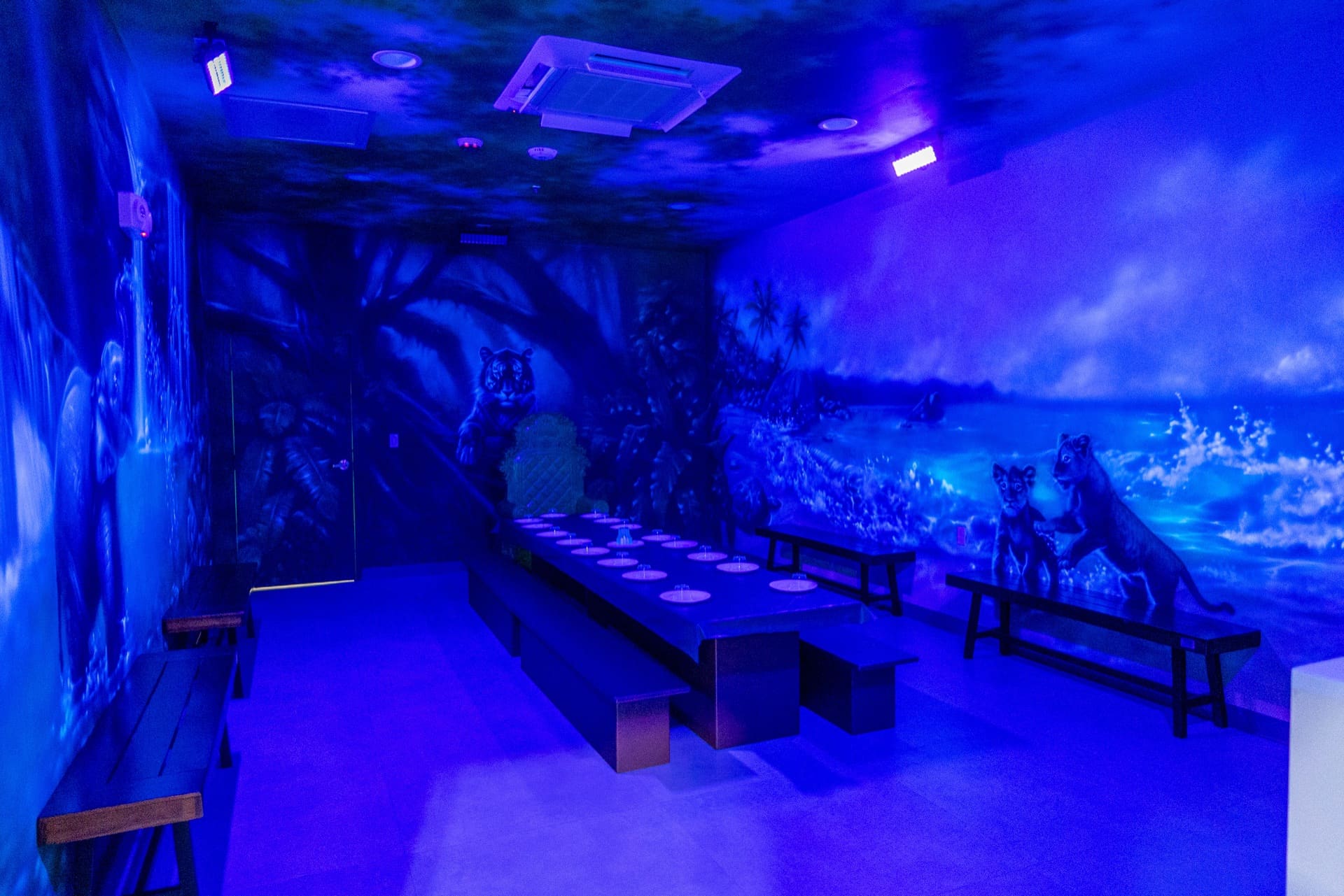 Jungle party room, photo 2 of 8