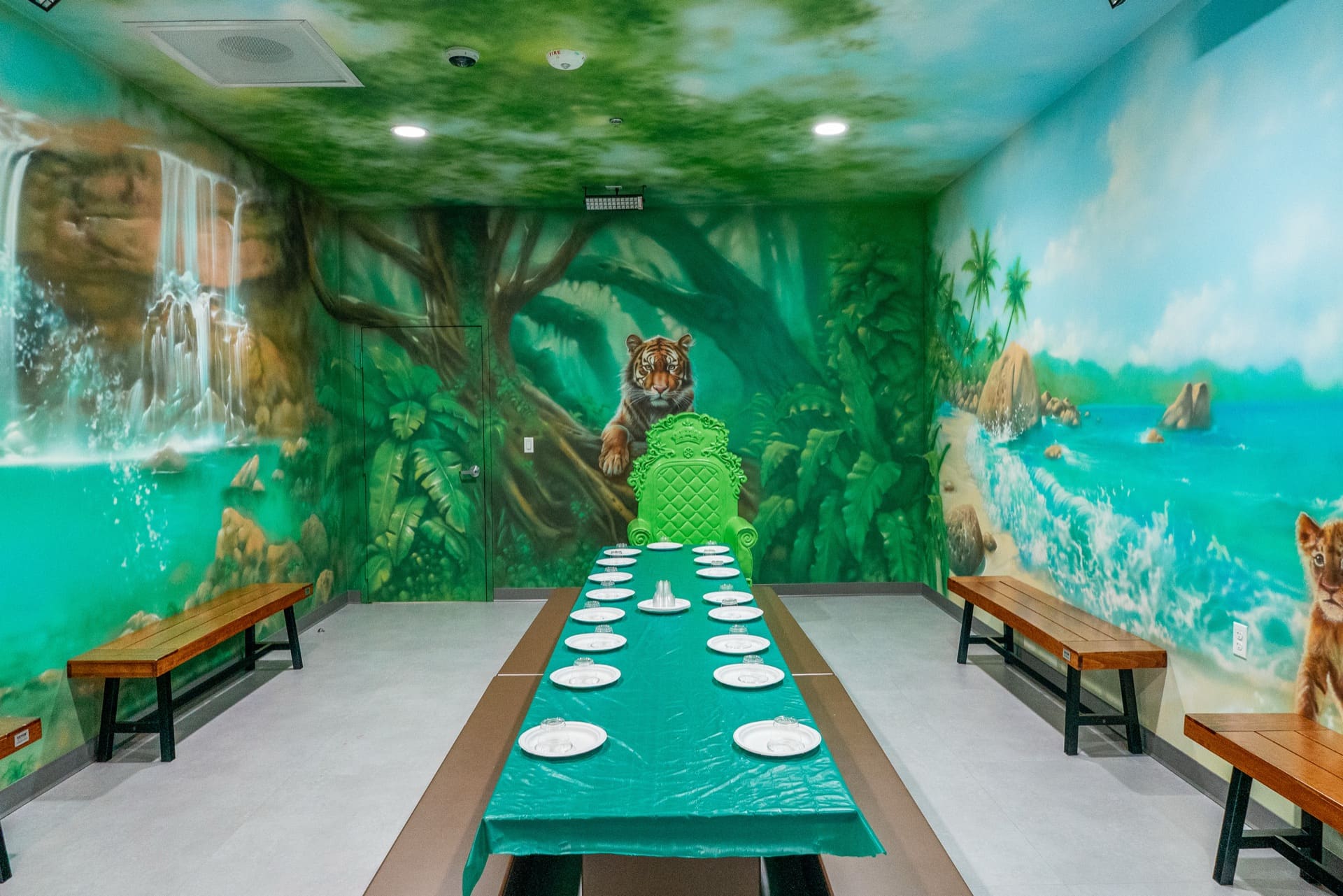 Jungle party room, photo 3 of 8