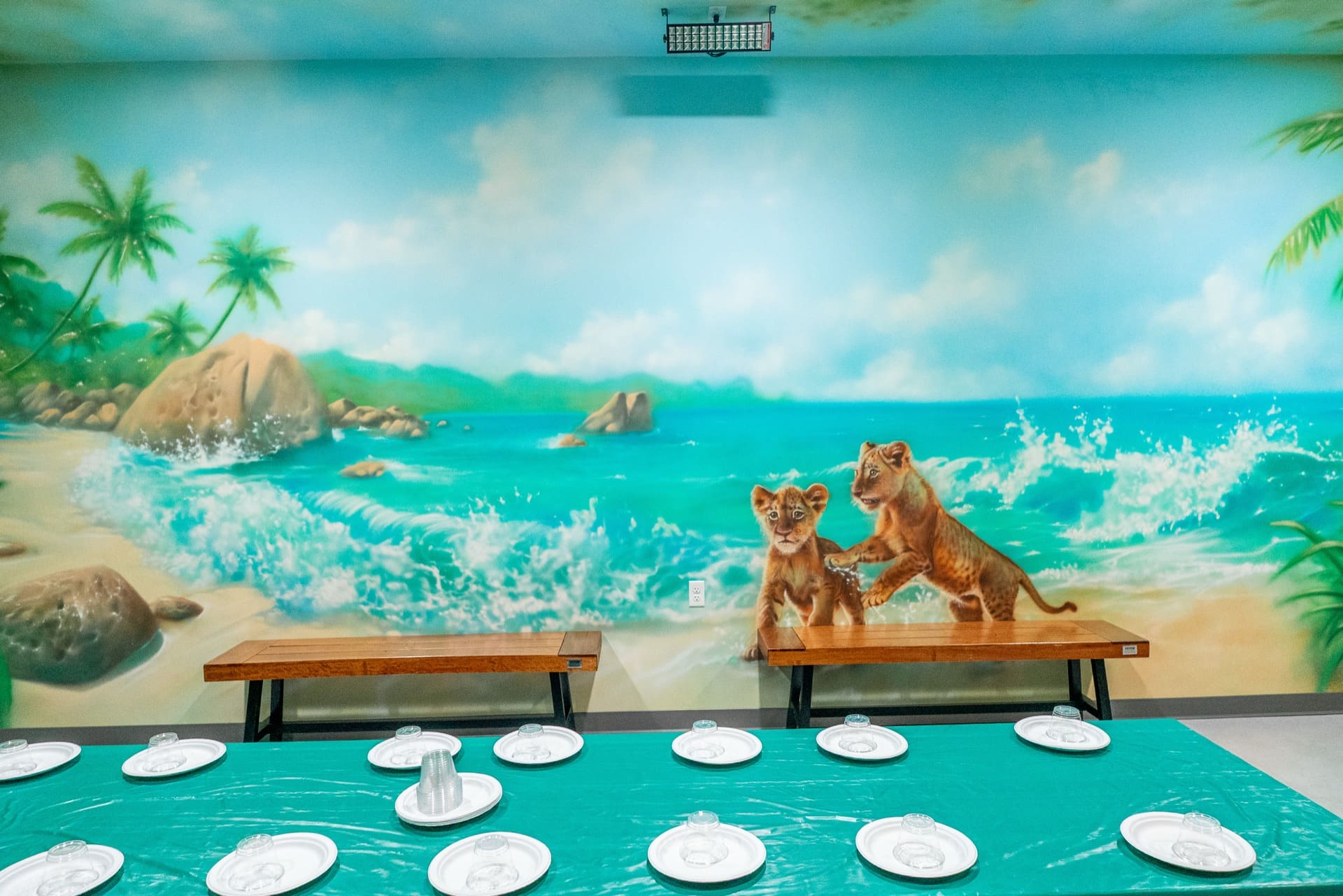 Jungle party room, photo 5 of 8