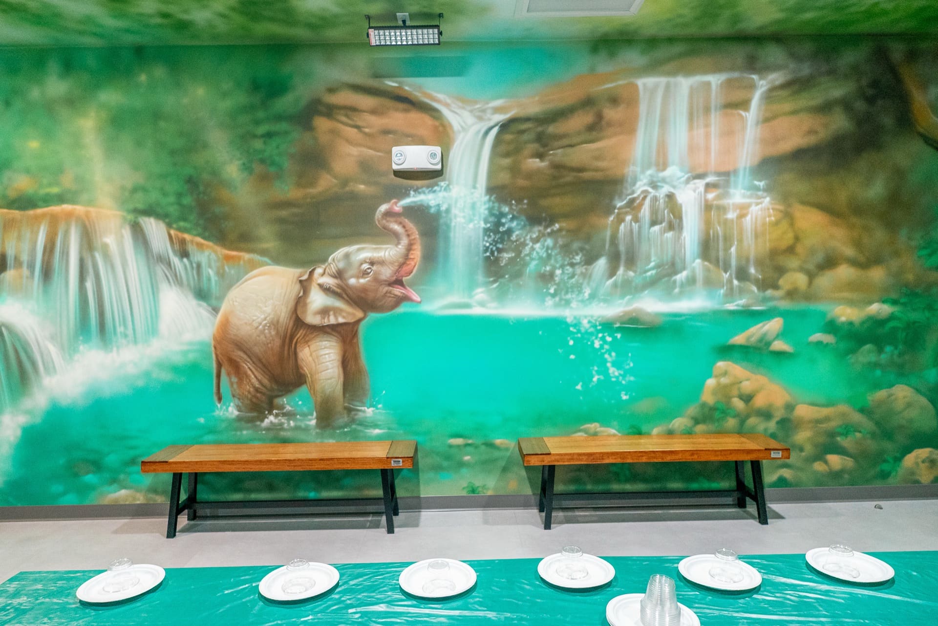Jungle party room, photo 7 of 8