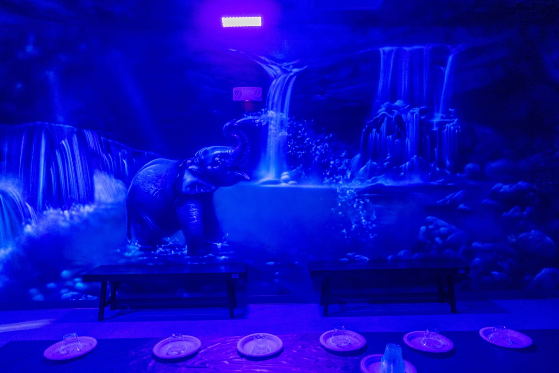Jungle party room, photo 8 of 8