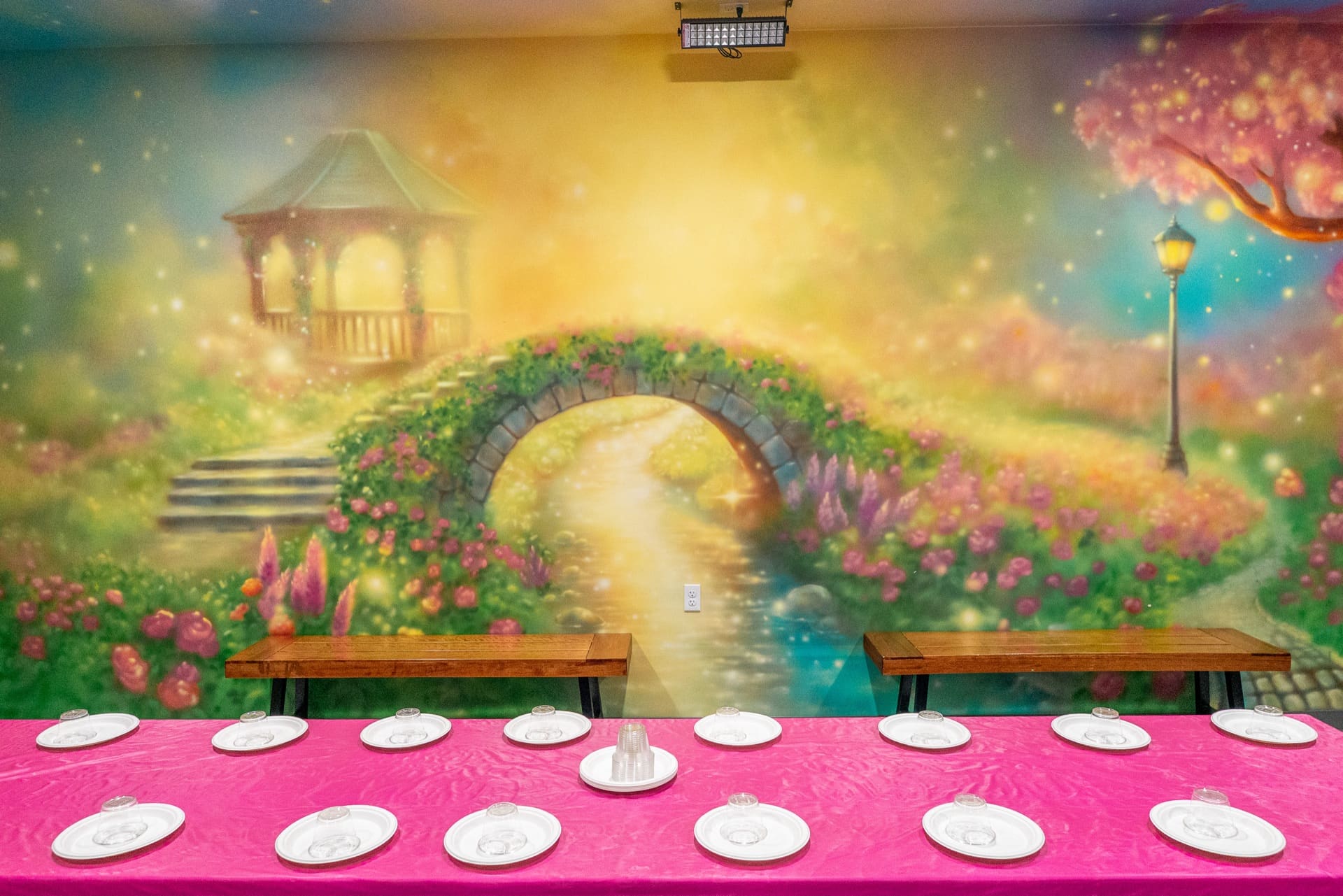 Princess party room, photo 4 of 8