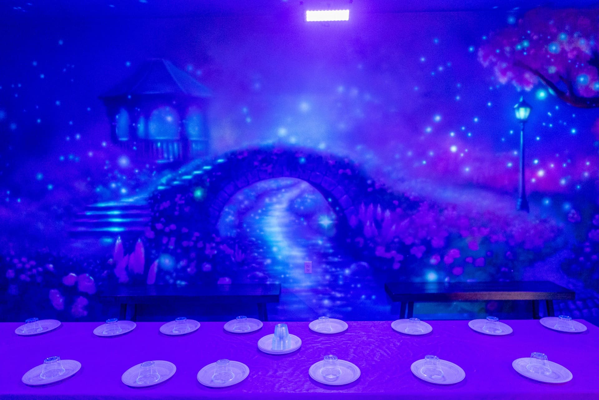 Princess party room, photo 5 of 8