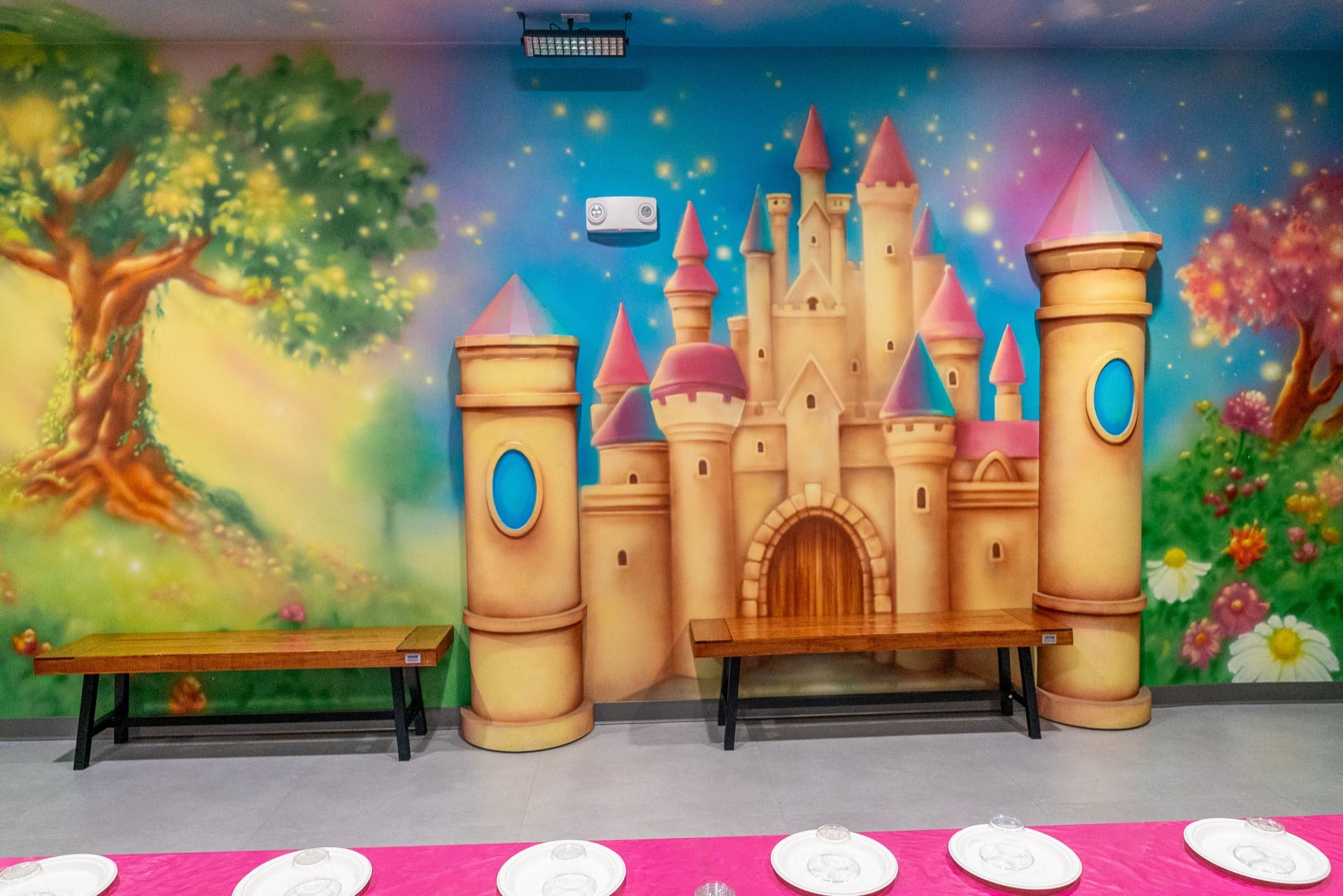 Princess party room, photo 6 of 8