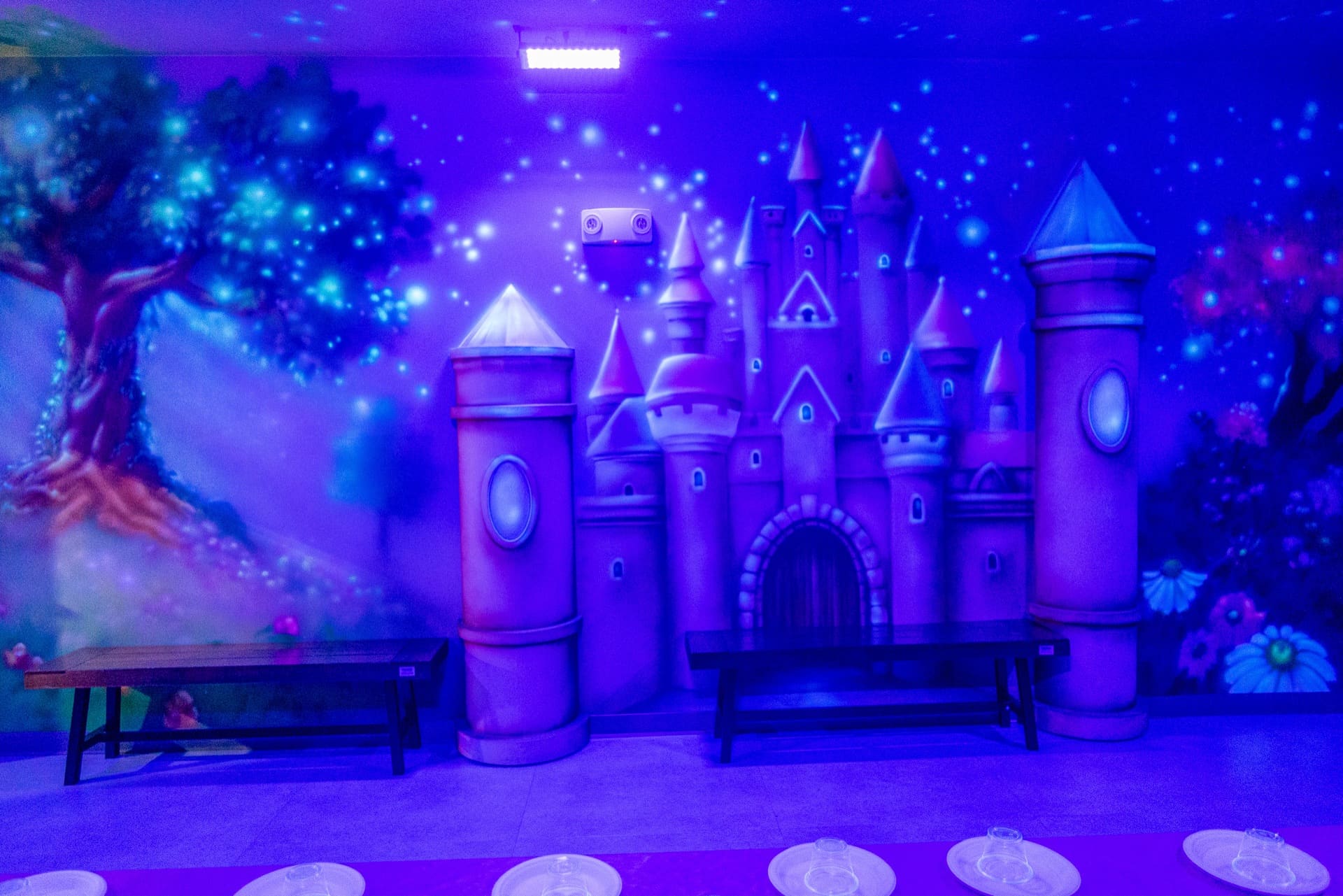 Princess party room, photo 7 of 8