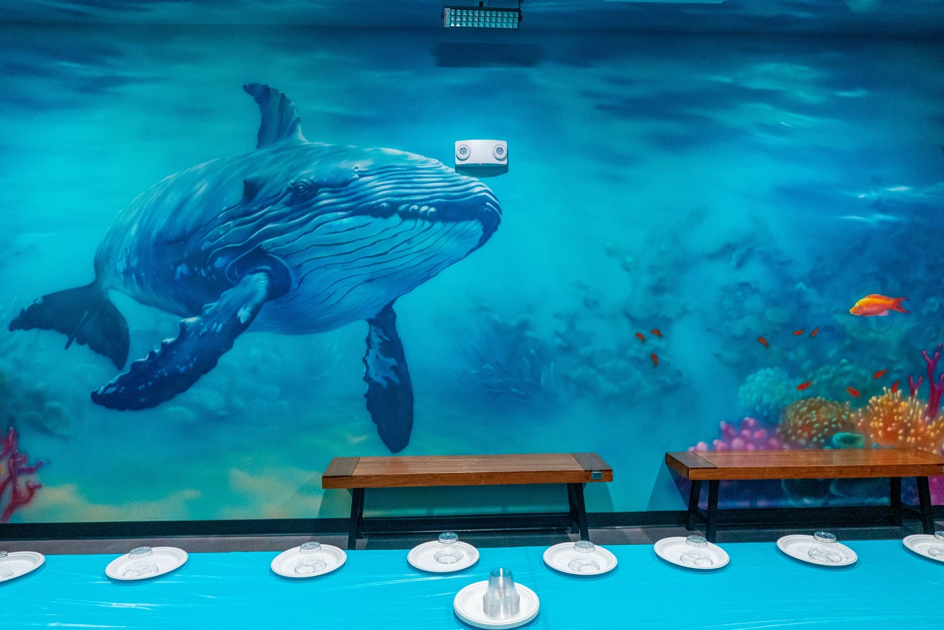 Underwater party room, photo 7 of 9