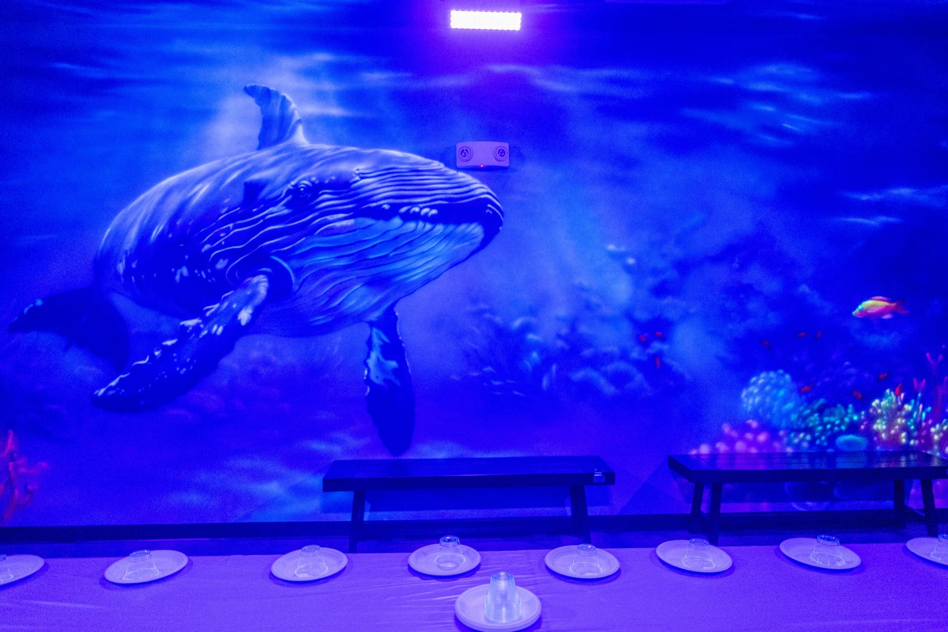 Underwater party room, photo 8 of 9