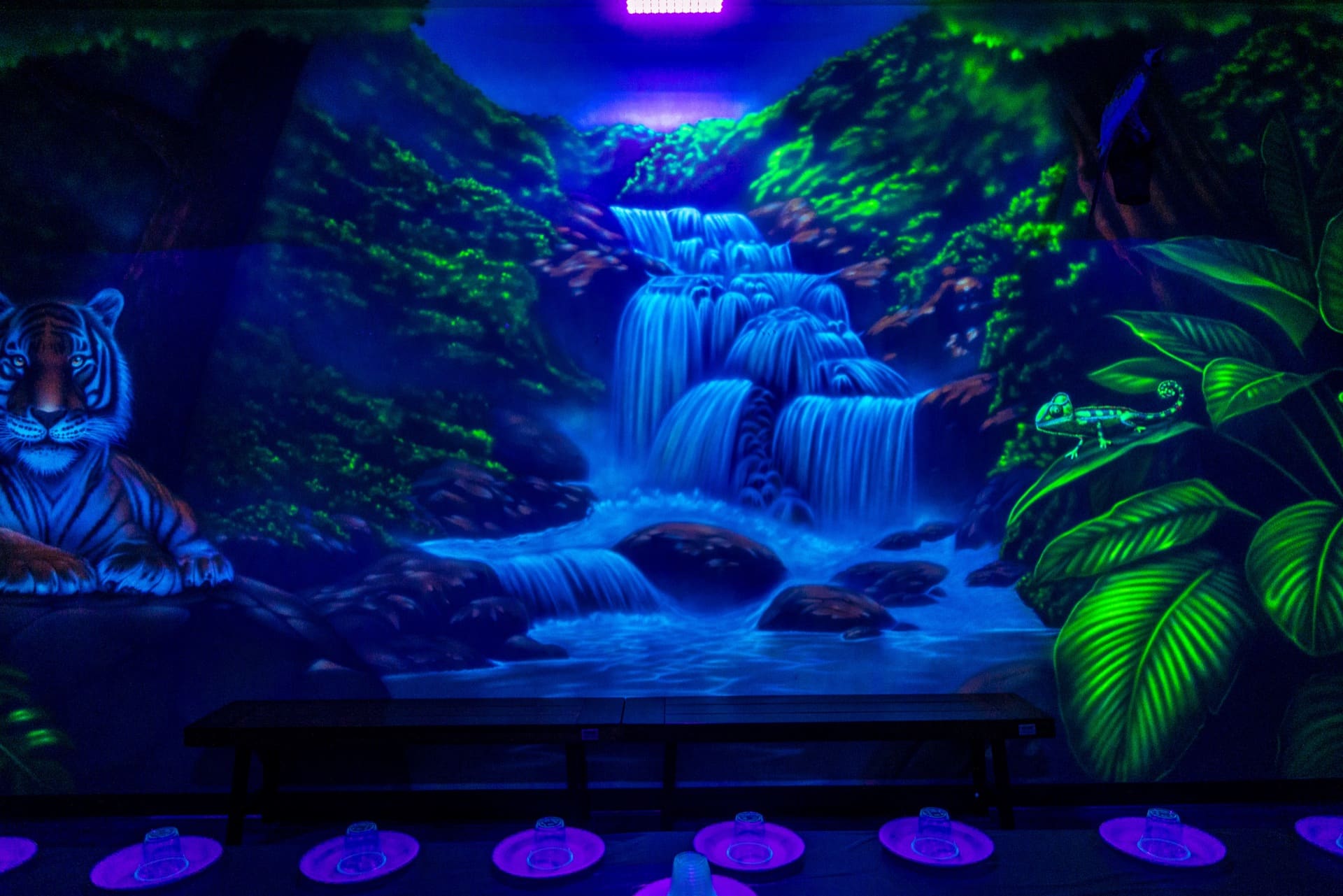 Jungle party room, photo 4 of 8
