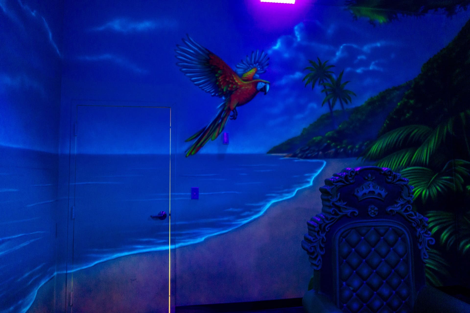 Jungle party room, photo 5 of 8