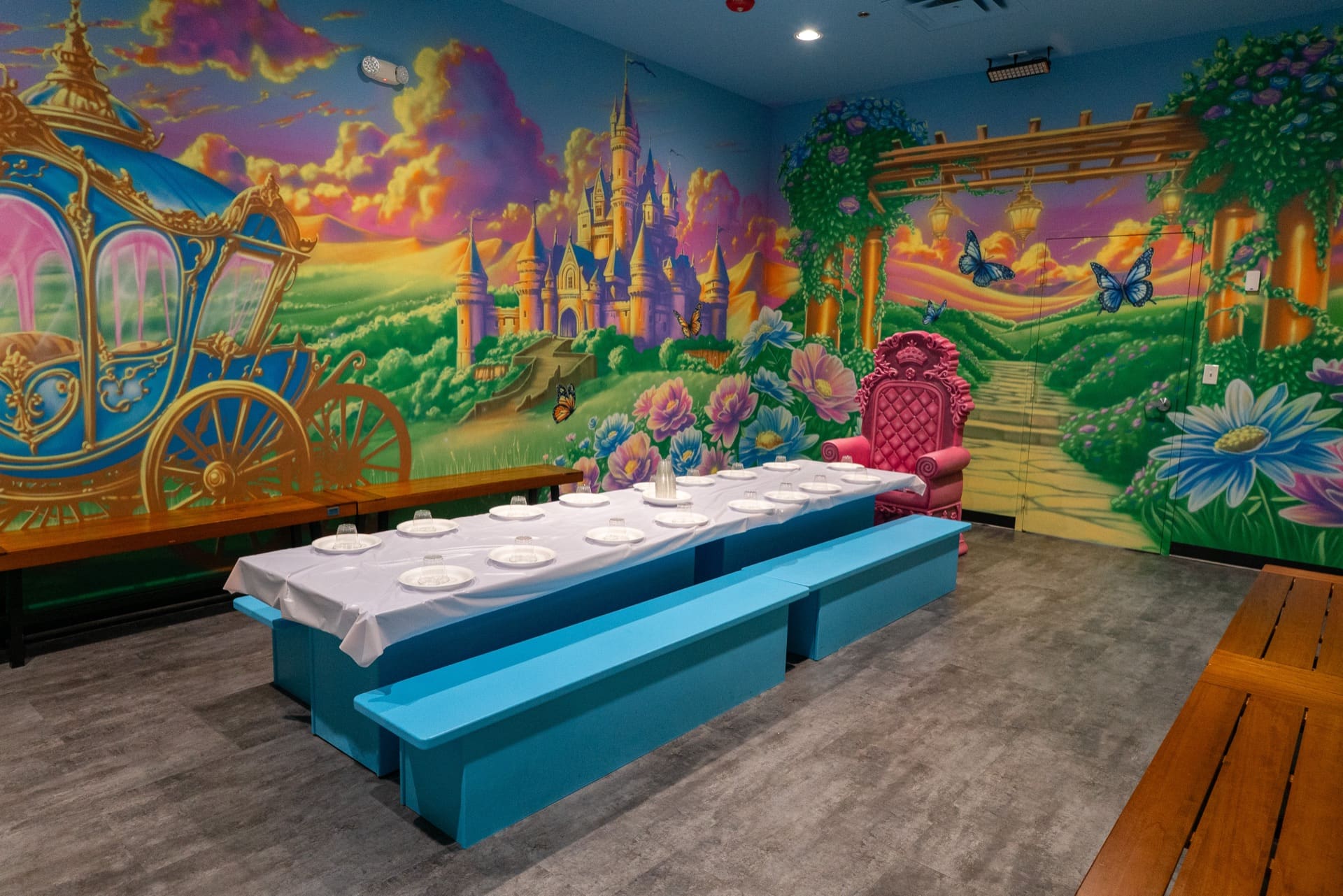 Princess party room, photo 1 of 9