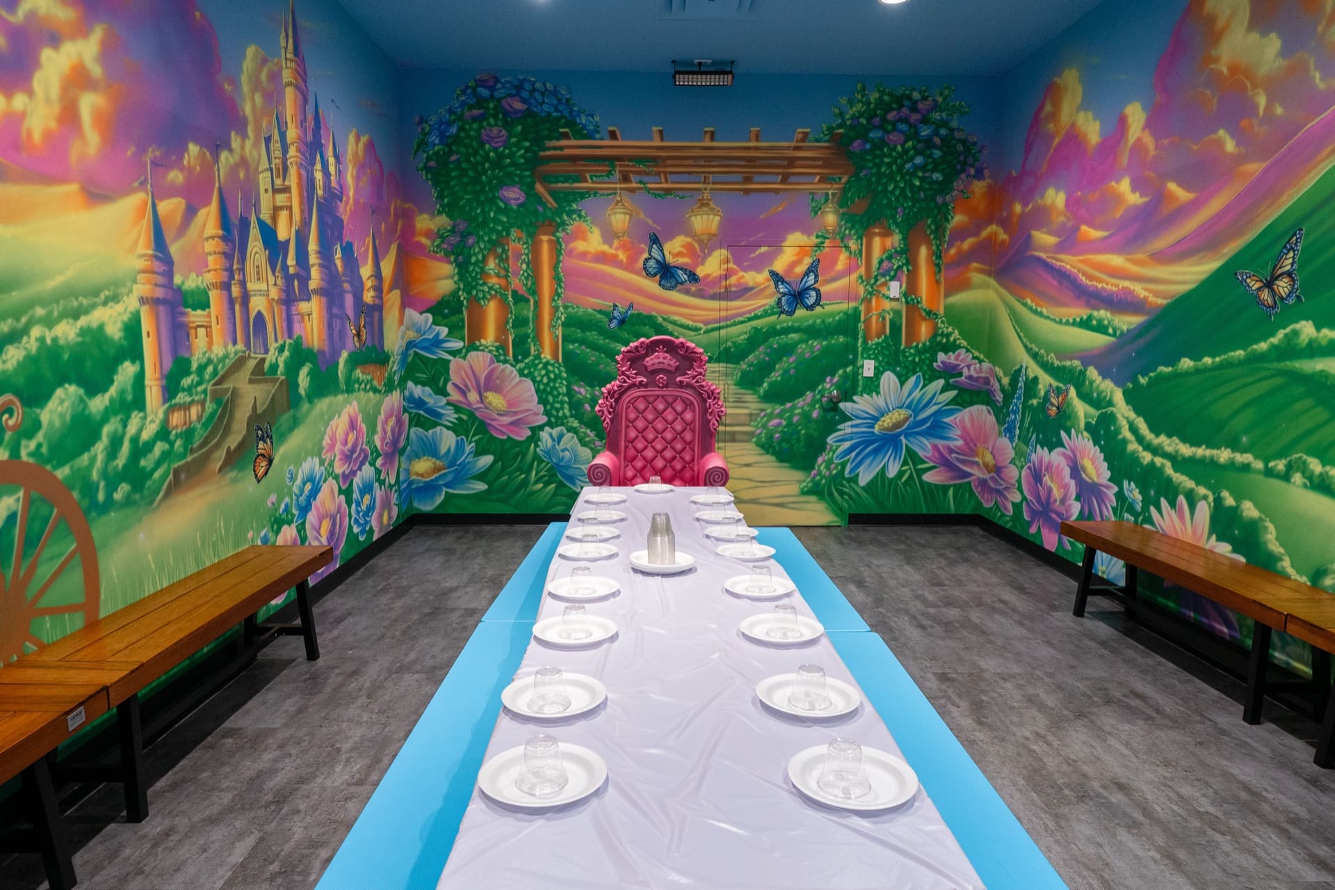 Princess party room, photo 2 of 9