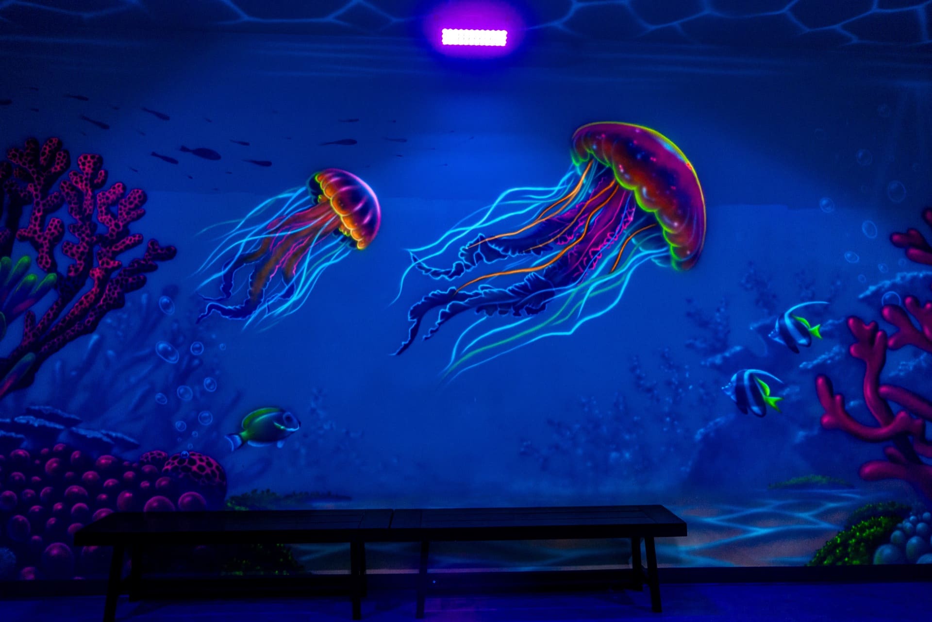 Deep Sea party room, photo 6 of 11