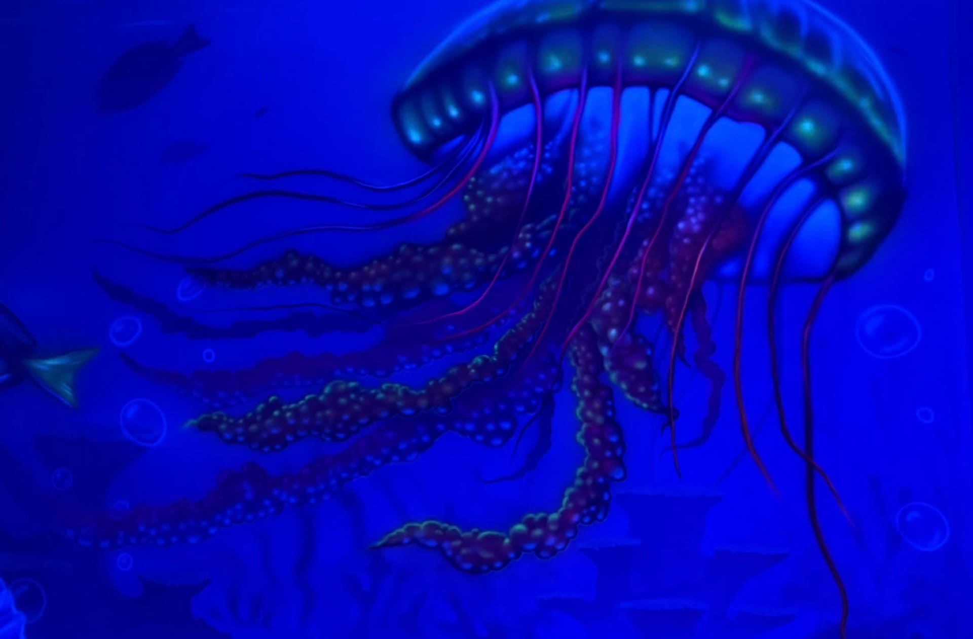 Underwater party room, photo 3 of 4