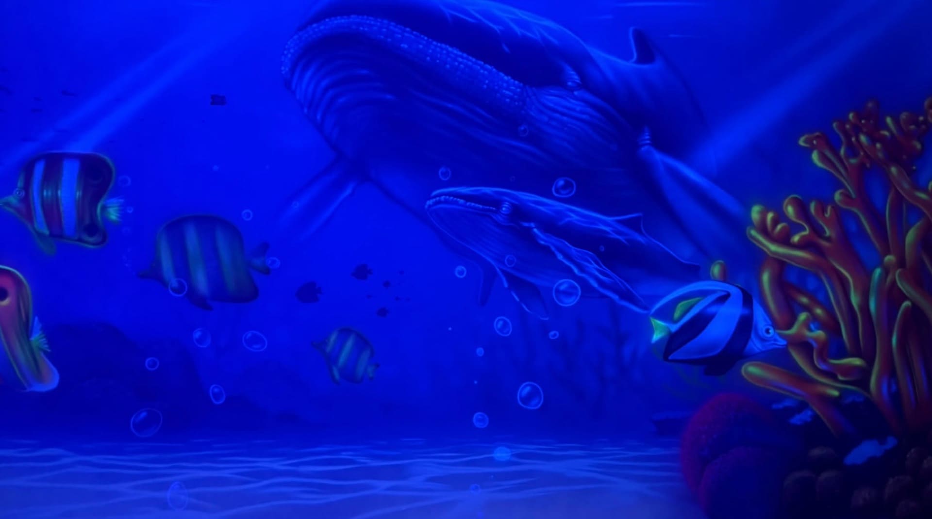 Underwater party room, photo 4 of 4