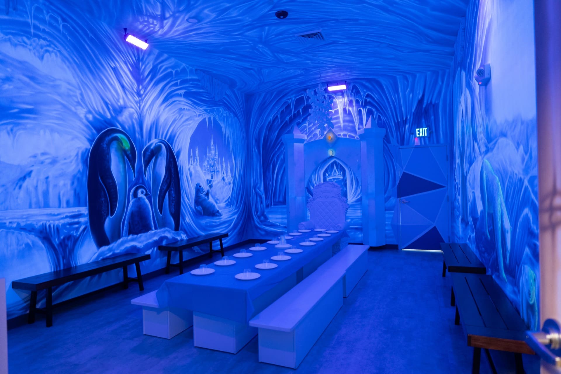 Ice party room, photo 3 of 10