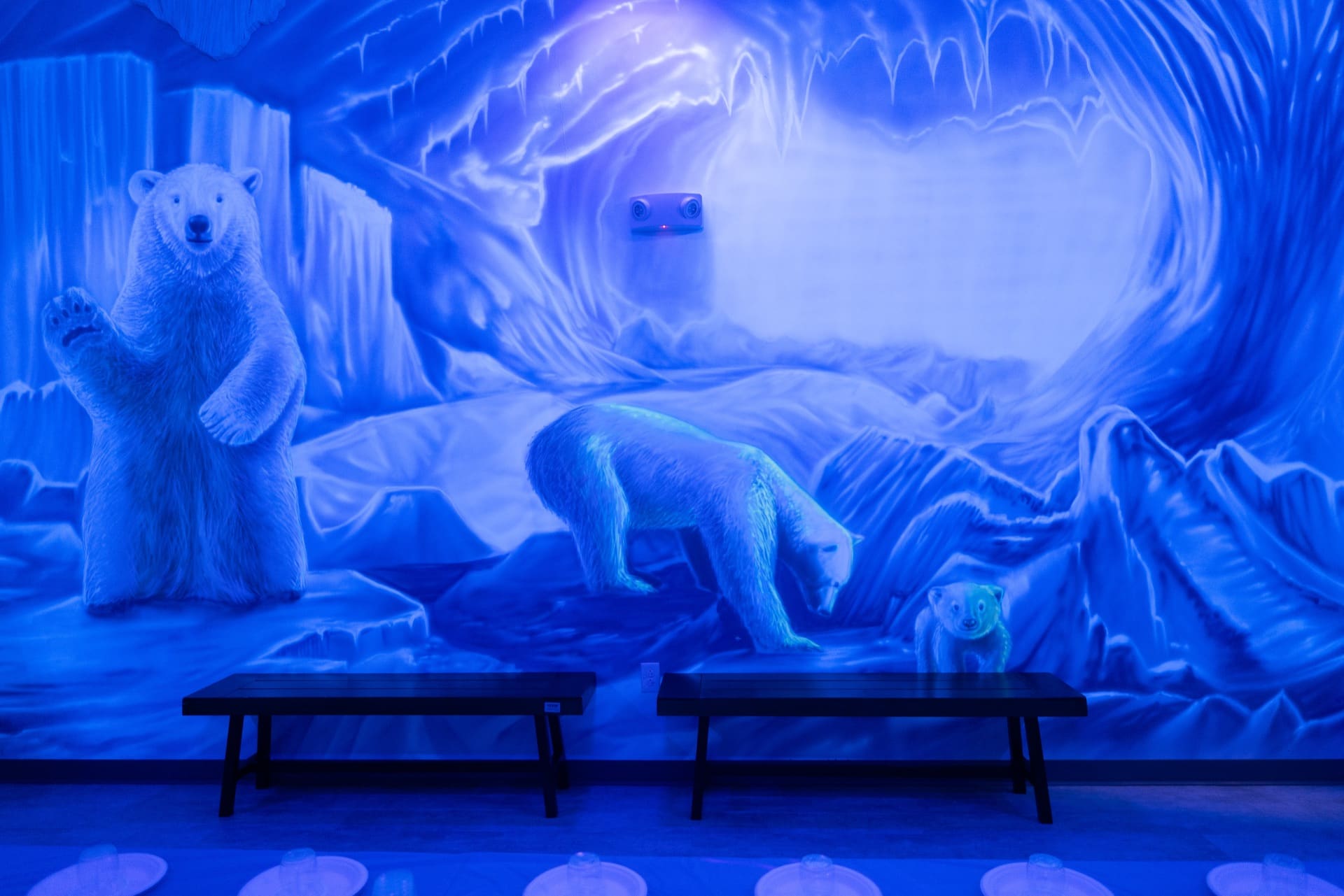 Ice party room, photo 5 of 10