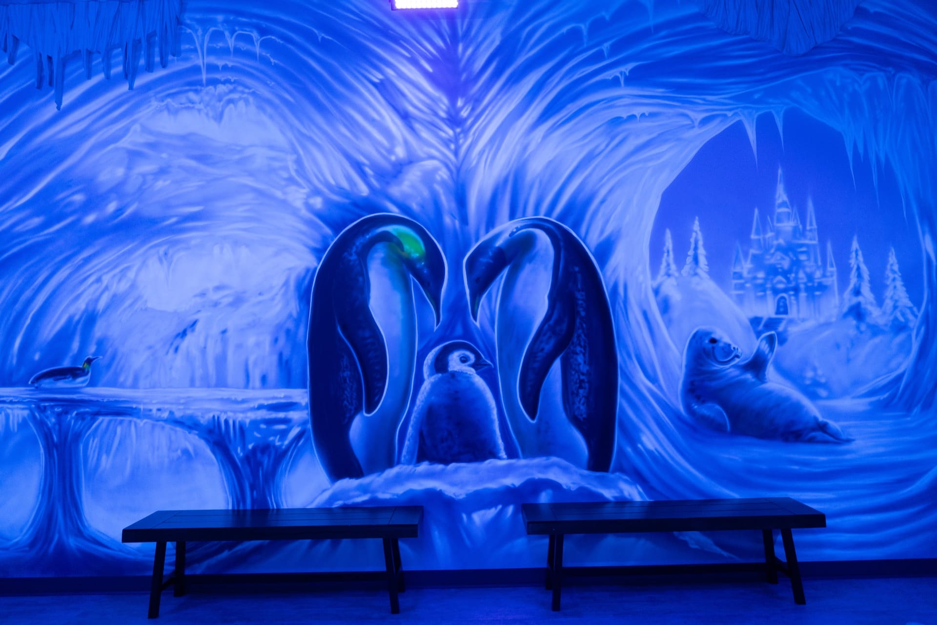 Ice party room, photo 7 of 10