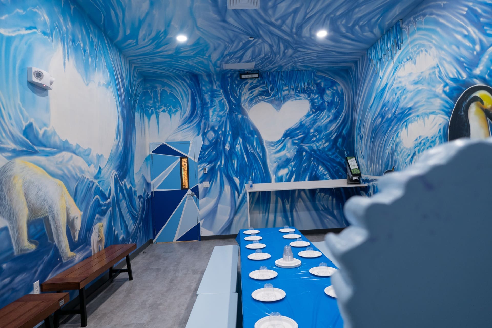 Ice party room, photo 8 of 10