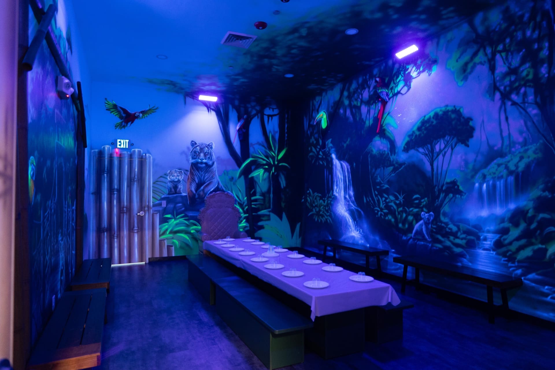 Jungle party room, photo 2 of 10