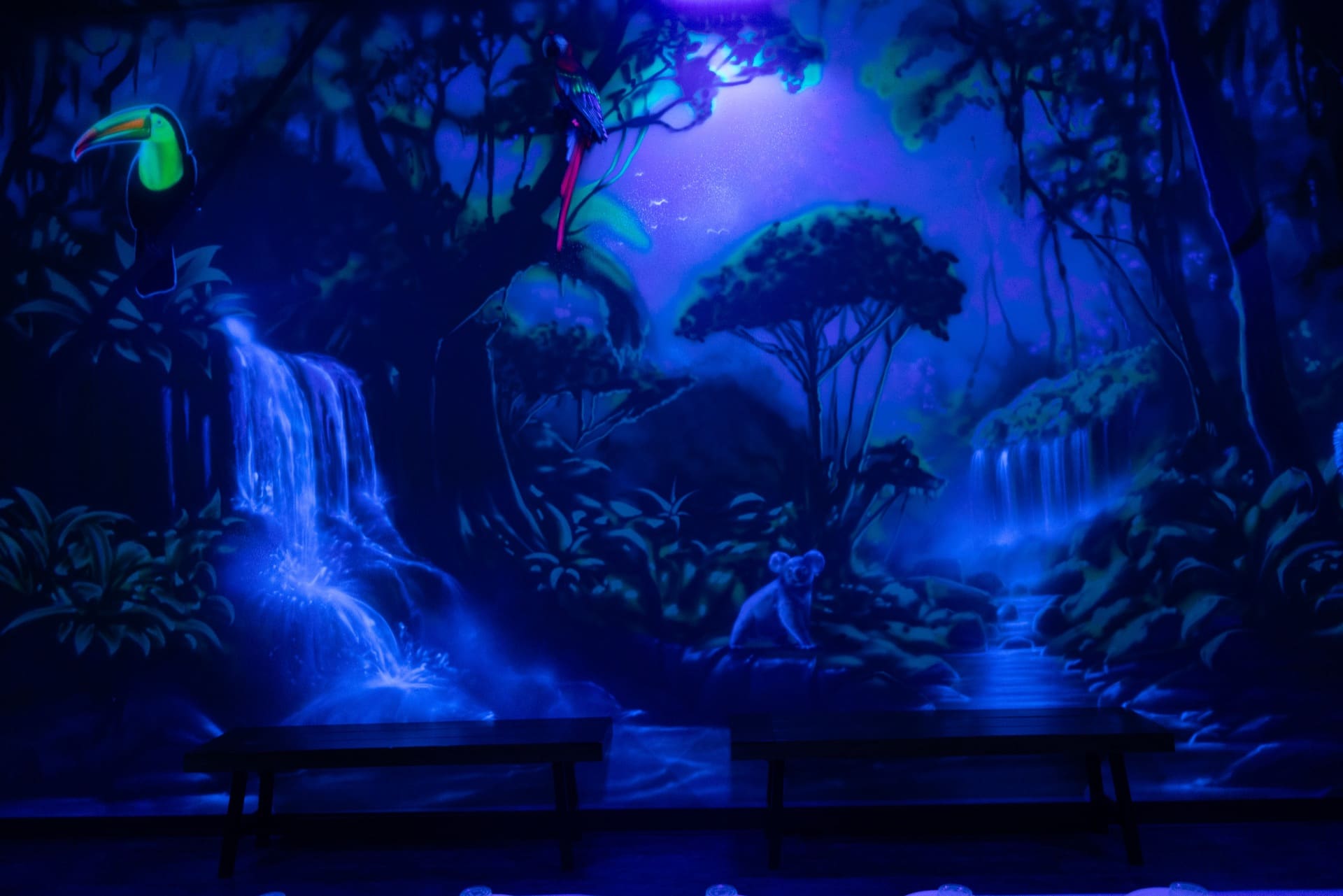 Jungle party room, photo 5 of 10