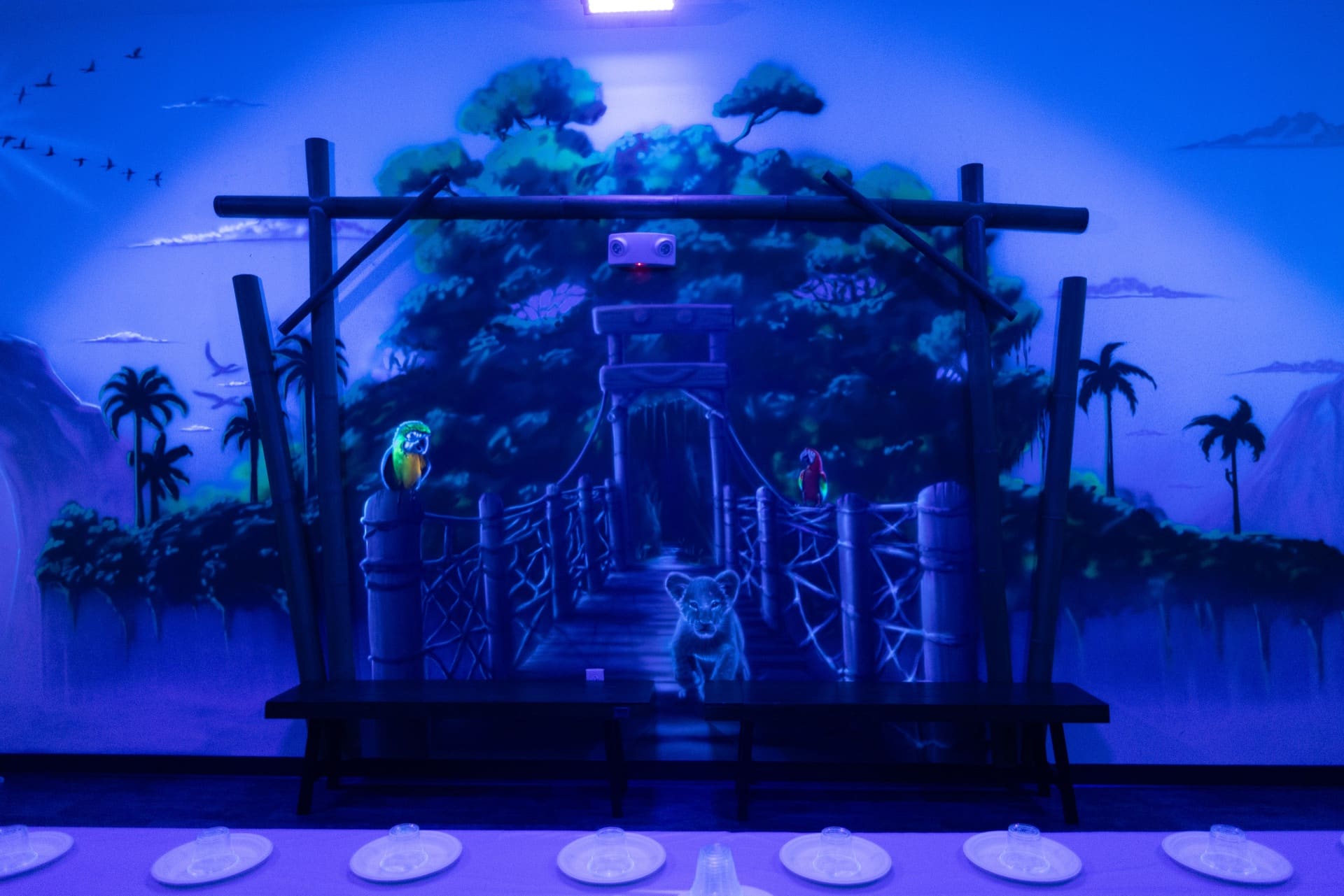 Jungle party room, photo 8 of 10