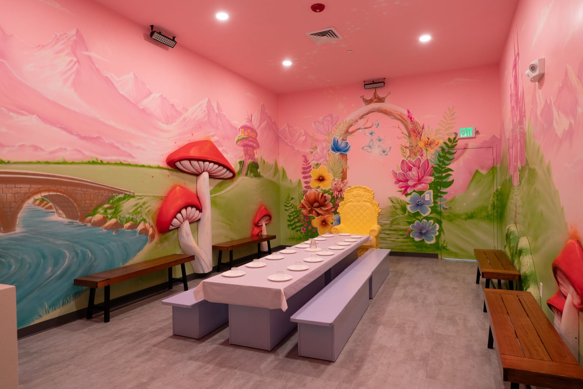 Princess party room, photo 1 of 12