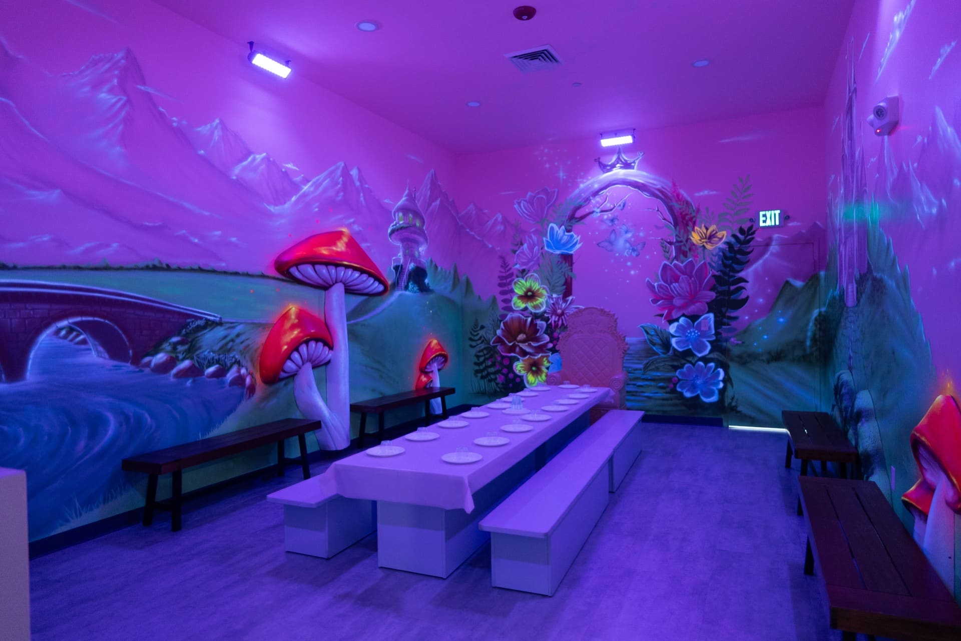 Princess party room, photo 2 of 12