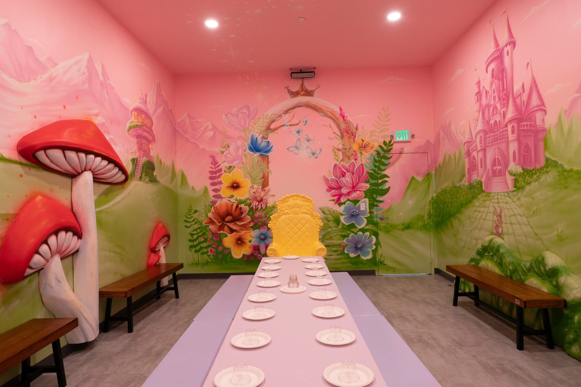 Princess party room, photo 3 of 12