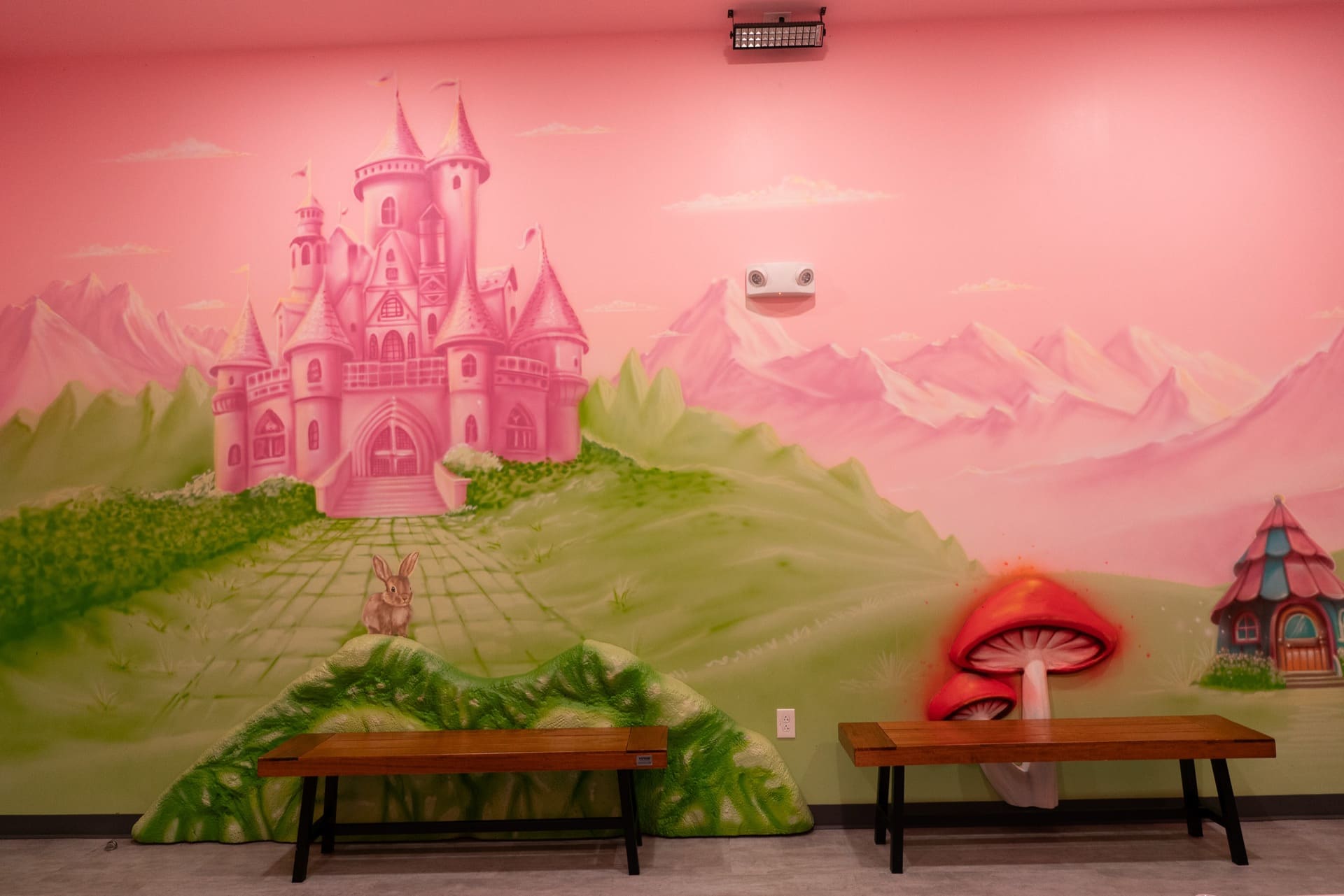 Princess party room, photo 4 of 12