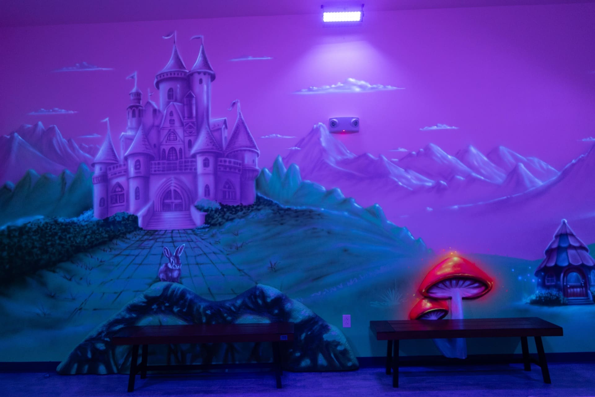 Princess party room, photo 5 of 12