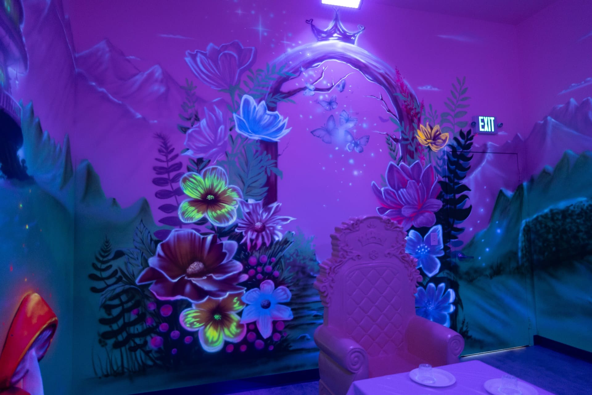 Princess party room, photo 6 of 12