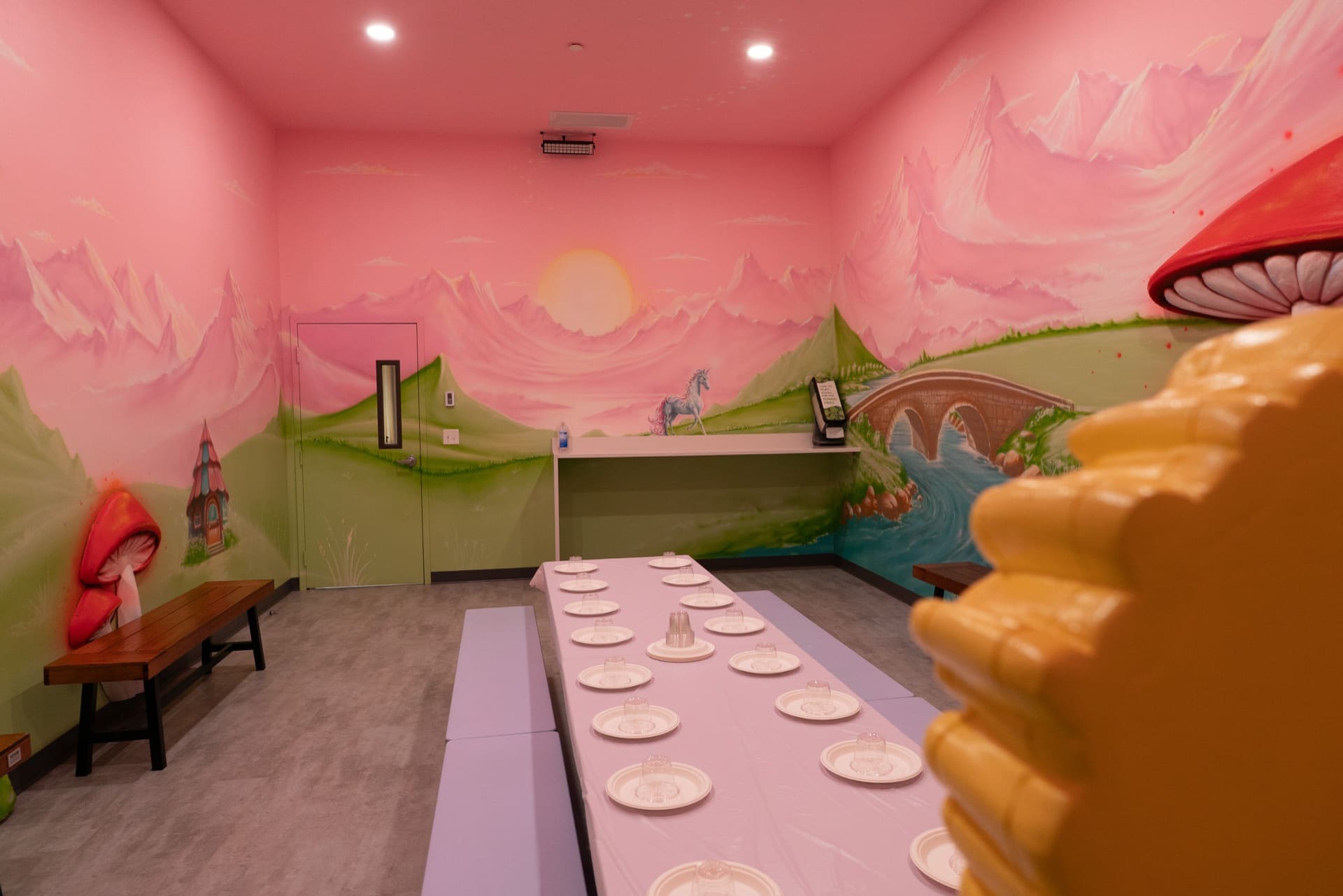 Princess party room, photo 8 of 12
