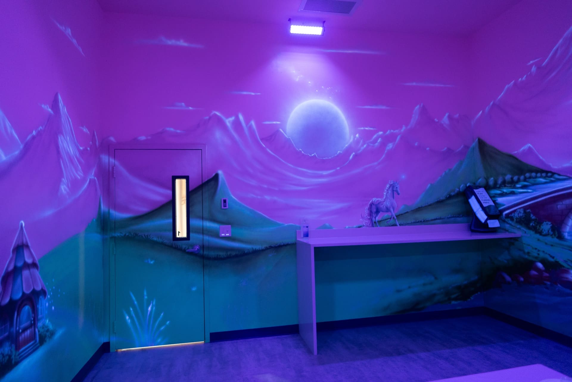 Princess party room, photo 11 of 12