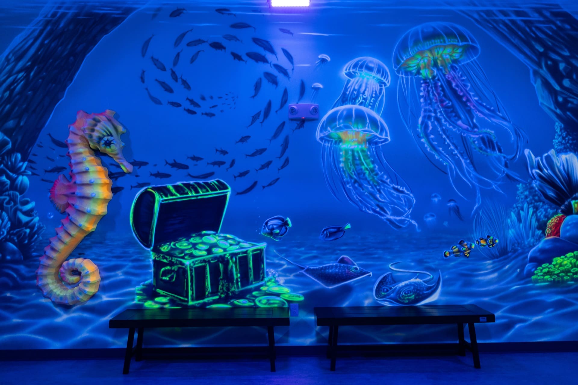 Underwater party room, photo 7 of 12