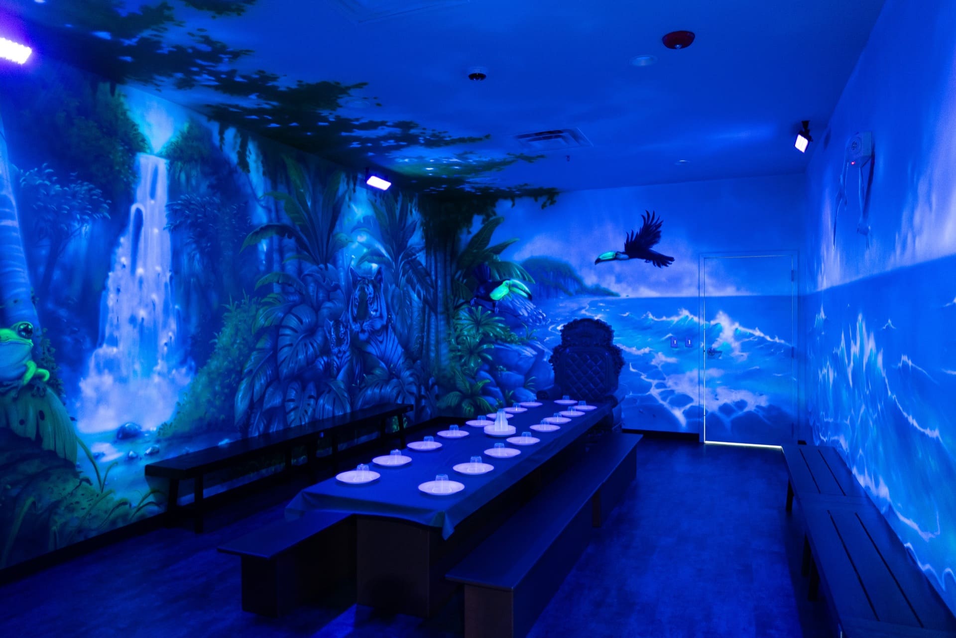 Jungle party room, photo 2 of 8