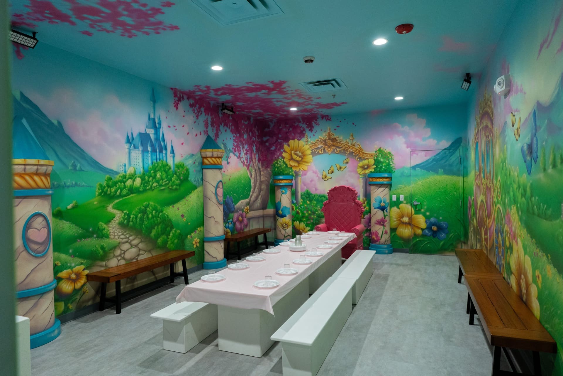 Princess party room, photo 1 of 9