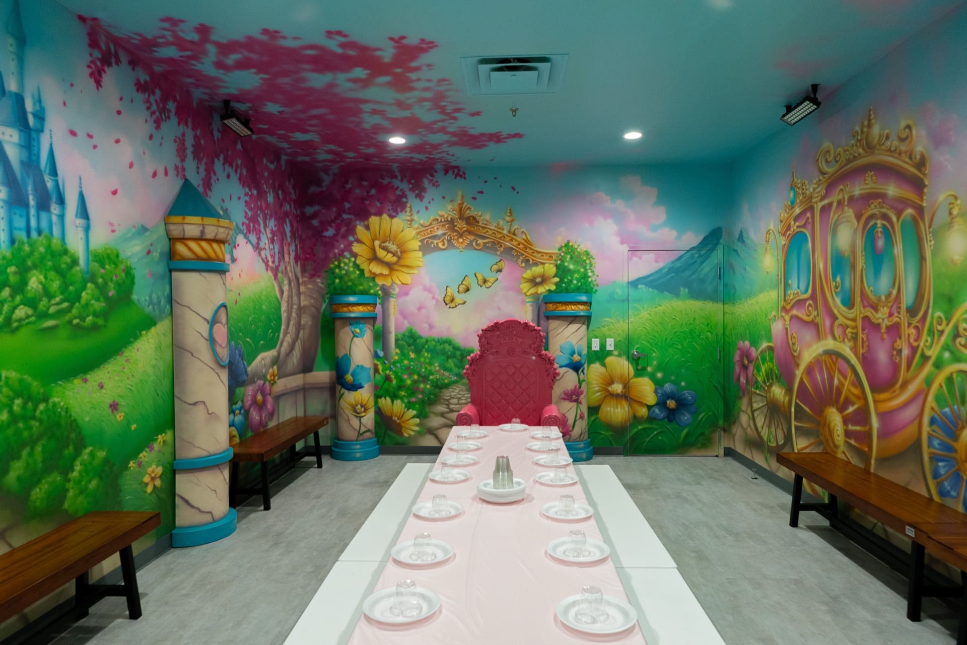 Princess party room, photo 3 of 9