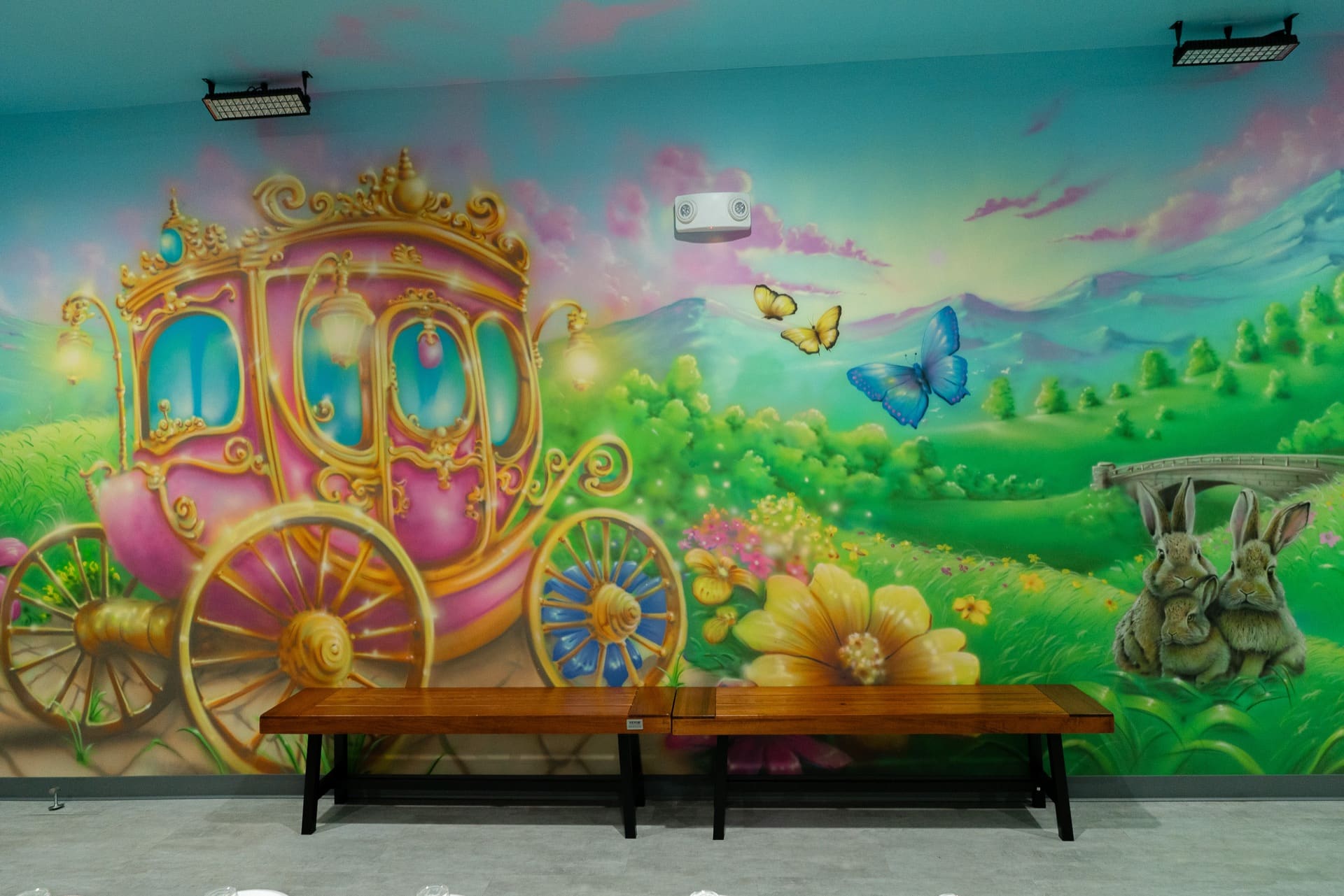 Princess party room, photo 4 of 9