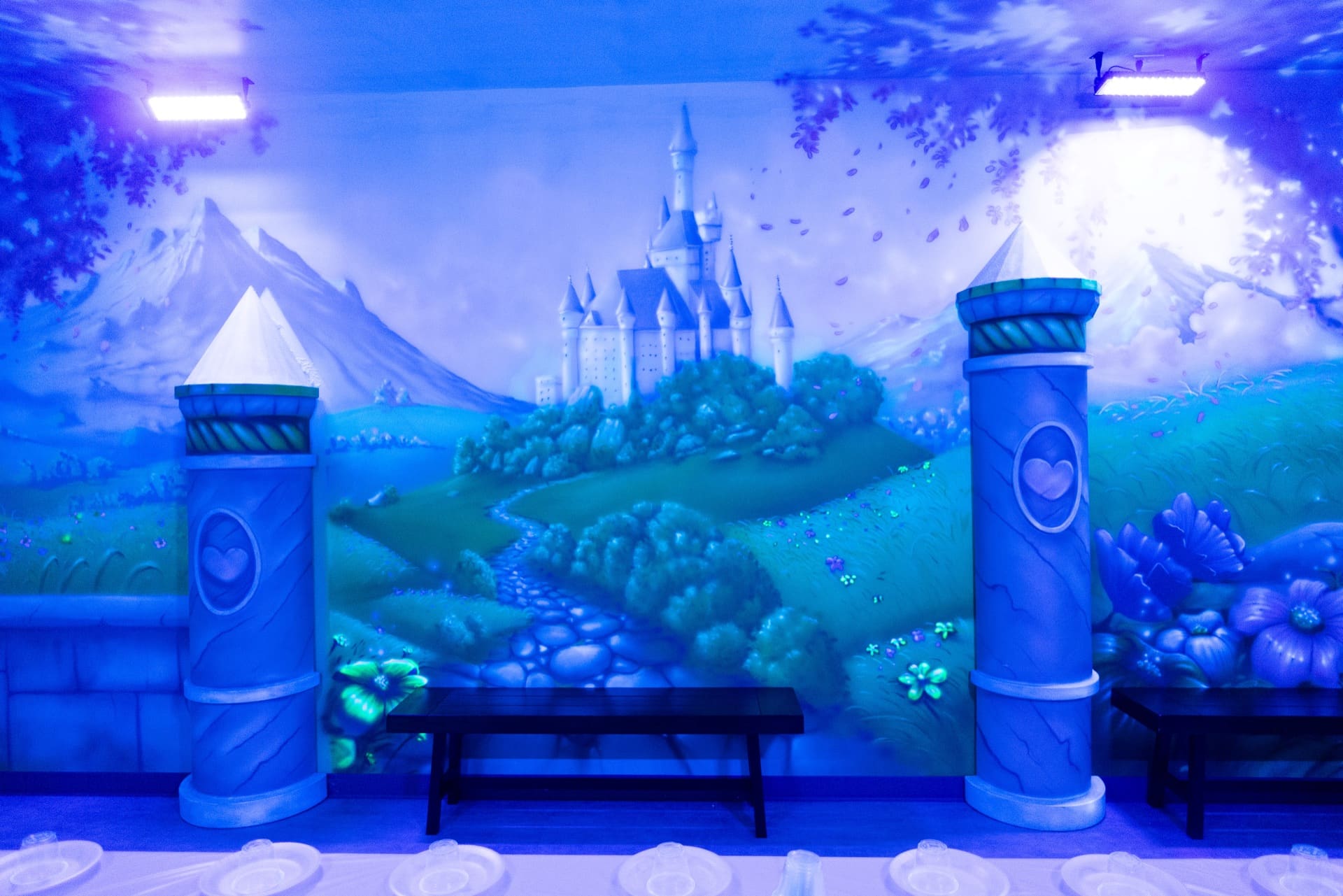 Princess party room, photo 8 of 9
