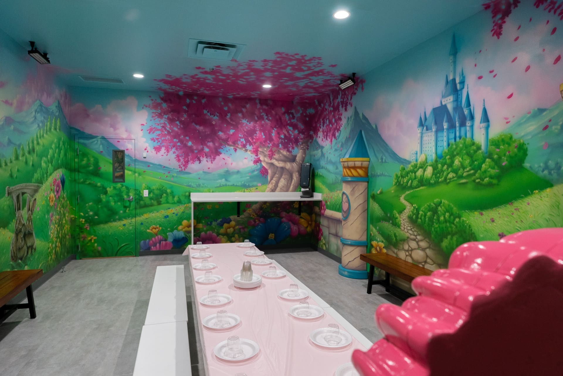 Princess party room, photo 9 of 9