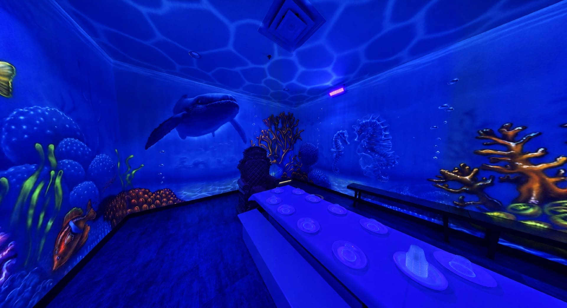 Underwater party room, photo 5 of 5