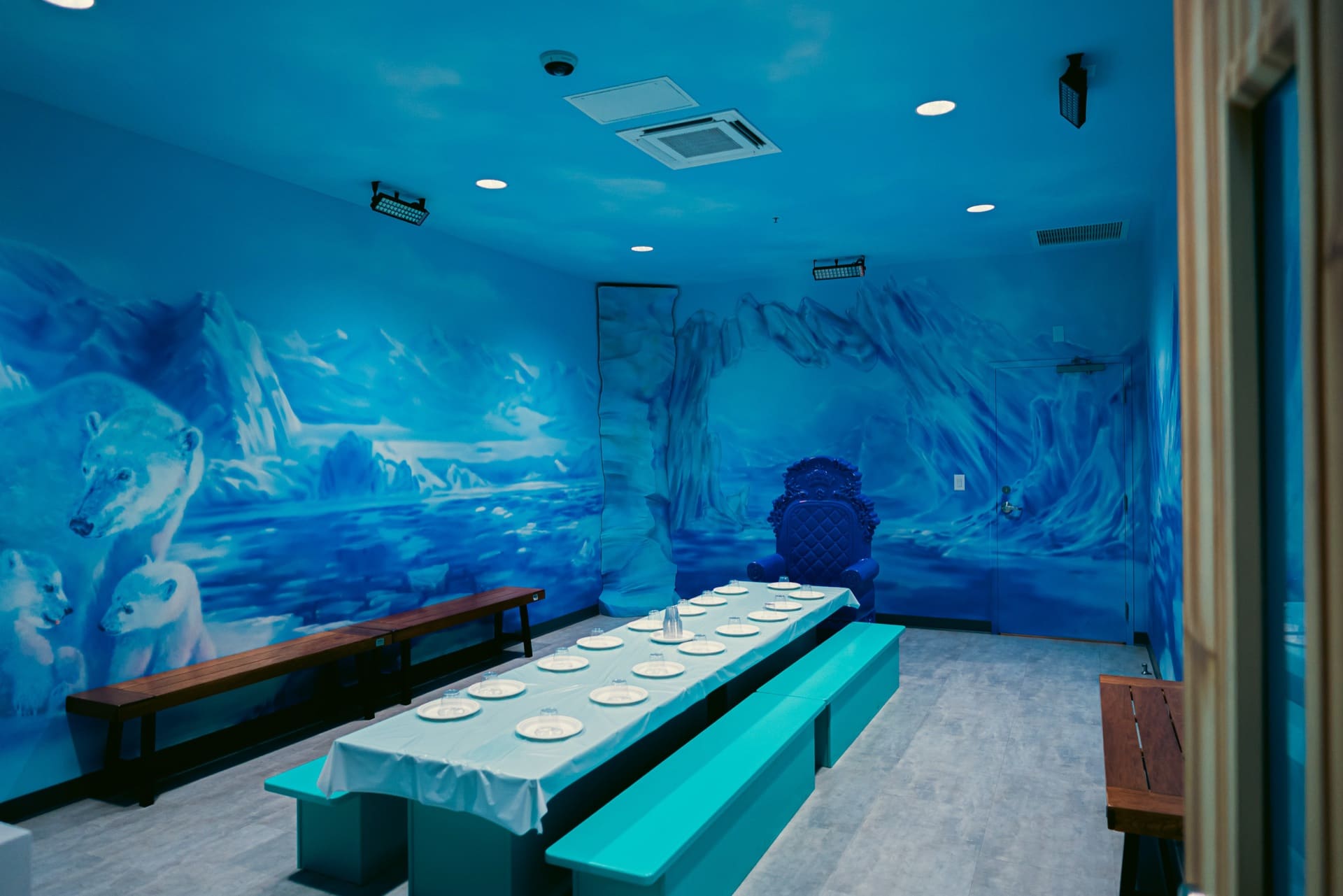 Ice party room, photo 1 of 10