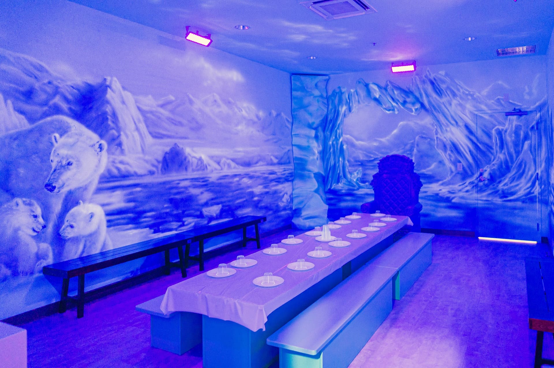 Ice party room, photo 2 of 10