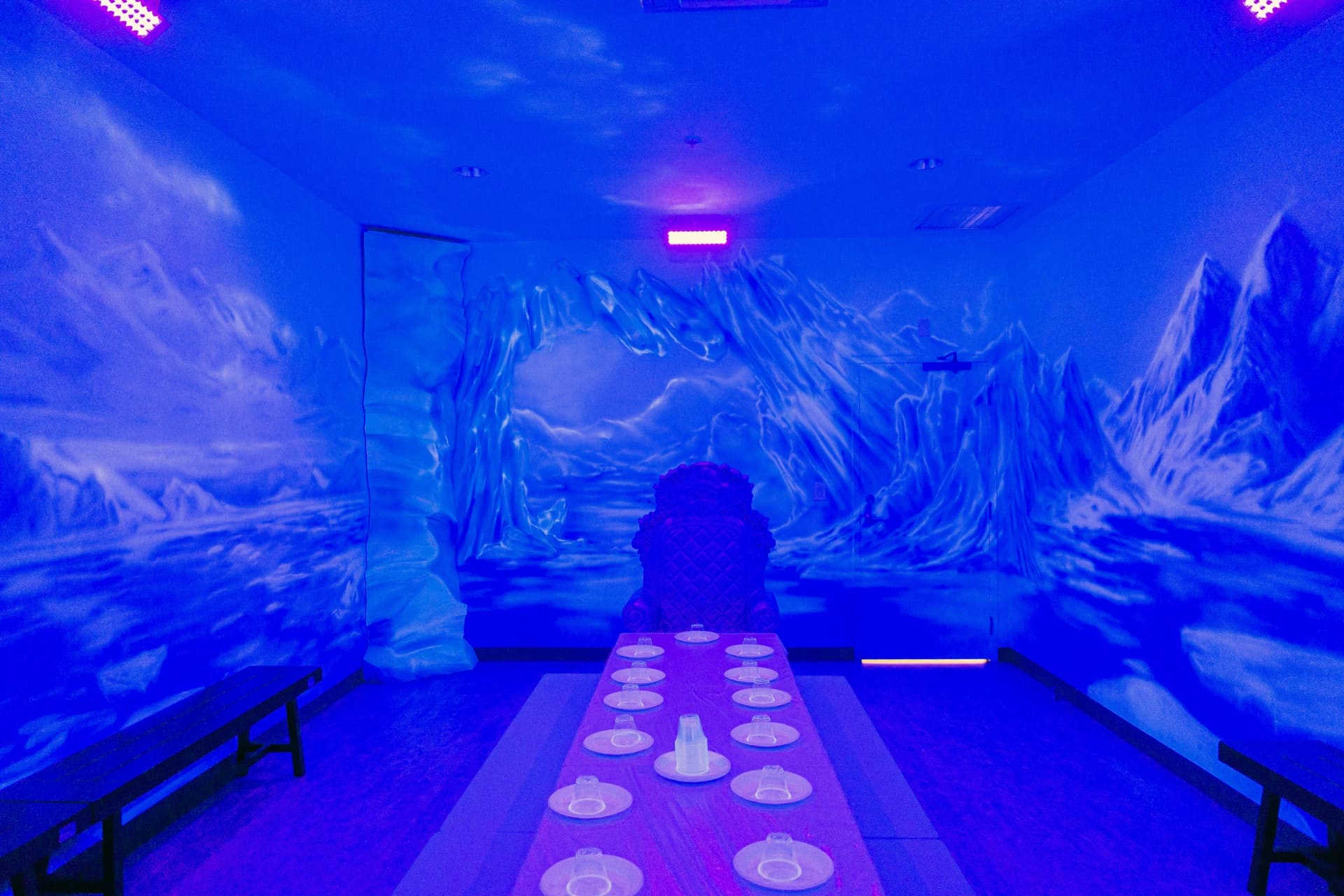 Ice party room, photo 4 of 10