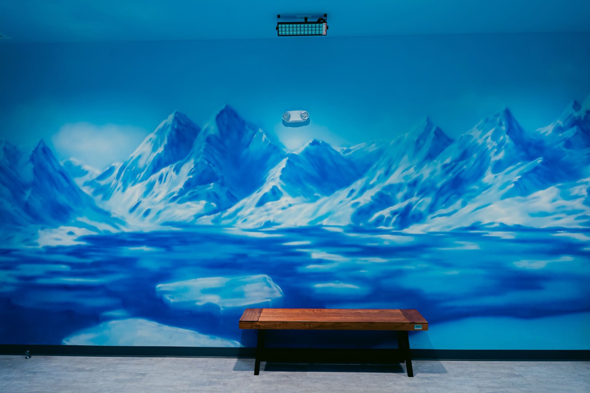 Ice party room, photo 5 of 10