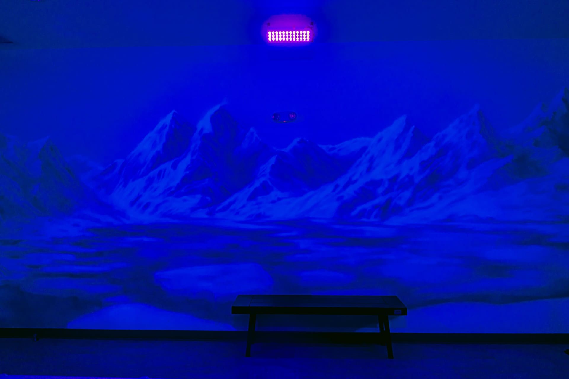 Ice party room, photo 6 of 10