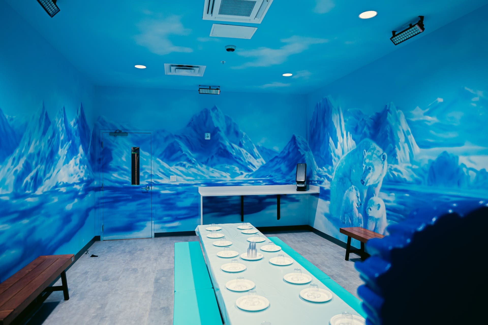 Ice party room, photo 8 of 10